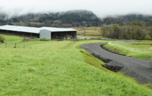 Green grass lines the side of a new gravel road through Oregon State University's Sheep Farm. An evacuation collaboration project that improved safety in Oak Creek Valley.