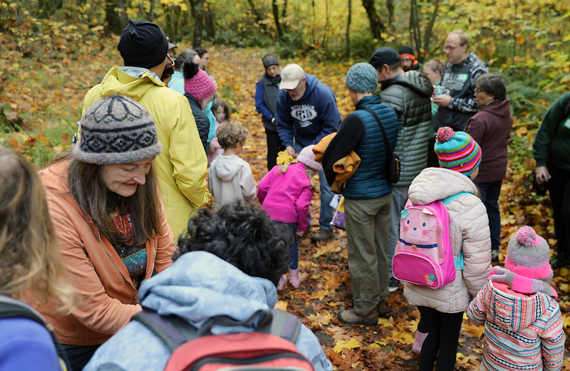 Participants search for mushrooms at Mushroom Day 2025